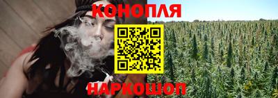 крисы Волгодонск