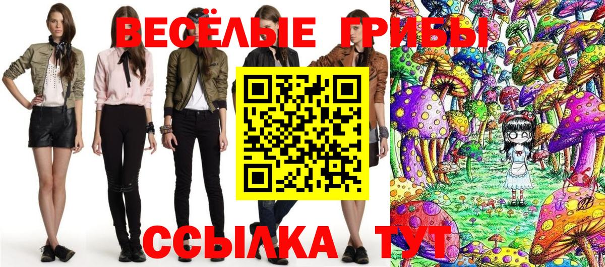 Псилоцибиновые грибы MAGIC MUSHROOMS Вичуга